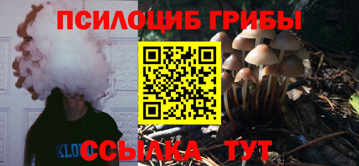 Псилоцибиновые грибы Magic Shrooms  Вход с VPN  Шадринск  Галлюциногенные грибы GOLDEN TEACHER 